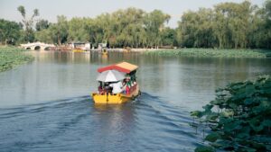 Cum să vizitezi Delta Dunării în siguranță