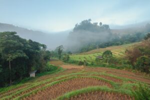 Photo profitable rural tourism