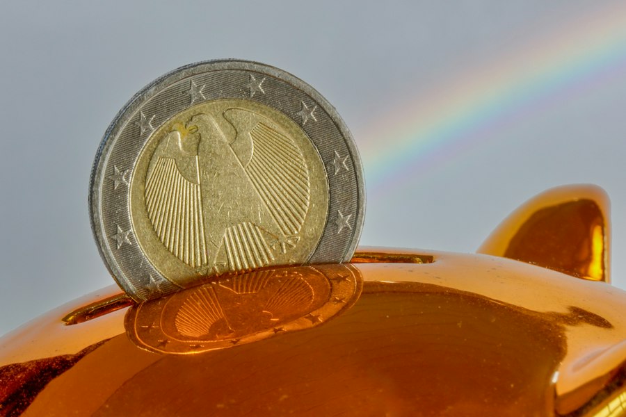 Photo economisi