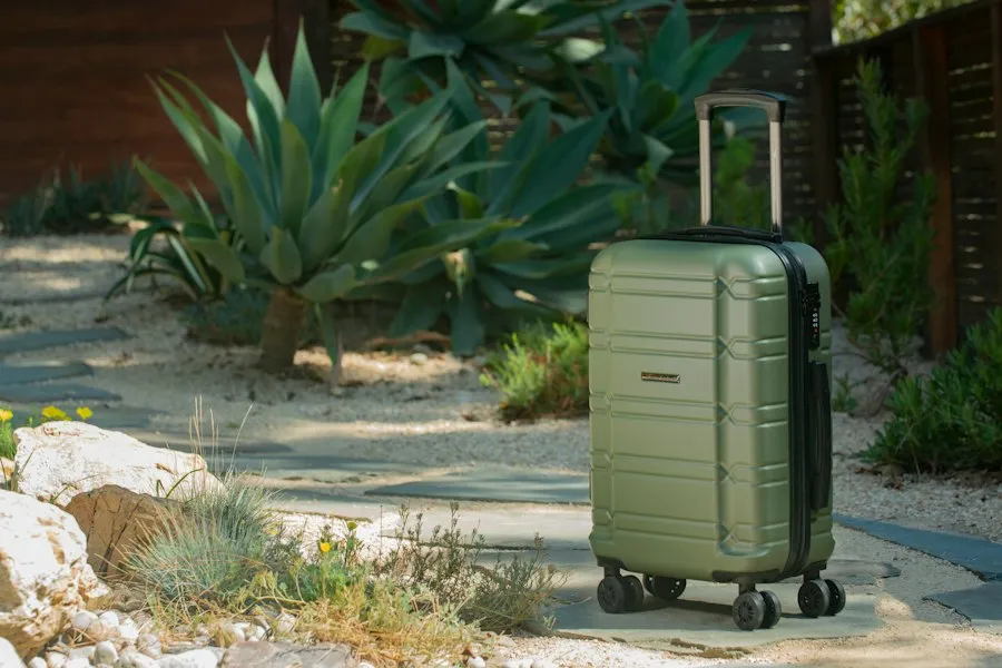 luggage essentials guide