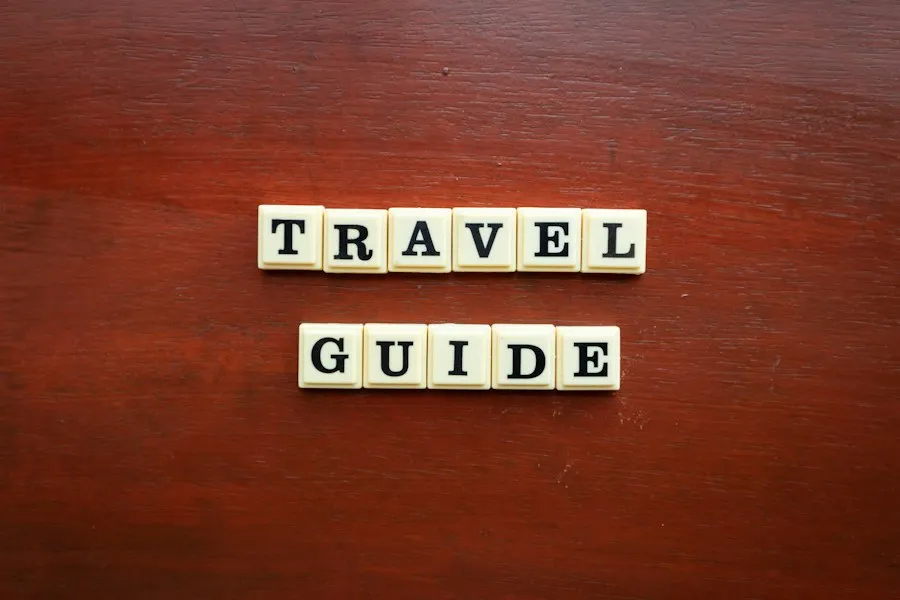Photo travel insurance guide